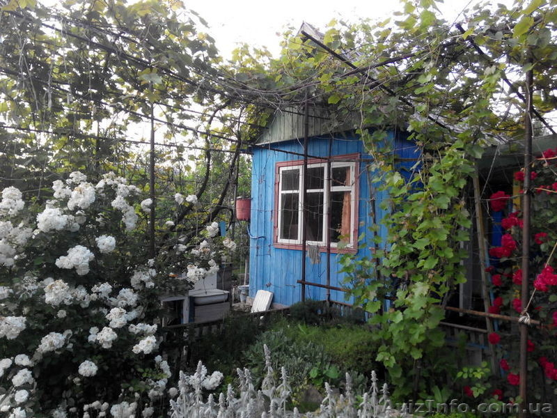 Дачный участок, черта города, Коммунаровский район. - <ro>Изображение</ro><ru>Изображение</ru> #6, <ru>Объявление</ru> #1542802