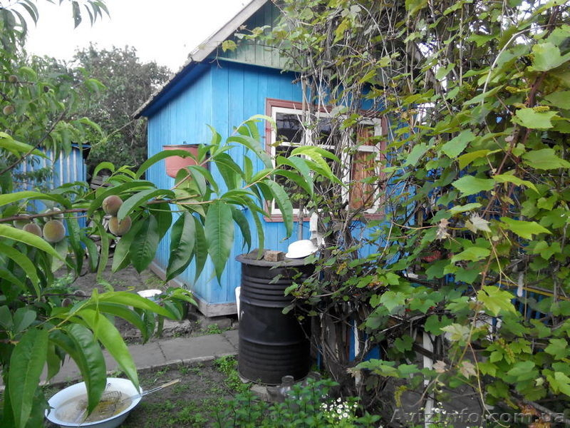 Дачный участок, черта города, Коммунаровский район. - <ro>Изображение</ro><ru>Изображение</ru> #2, <ru>Объявление</ru> #1542802