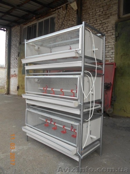 Брудер для выращивания птицы суточного возраста - <ro>Изображение</ro><ru>Изображение</ru> #2, <ru>Объявление</ru> #1545901