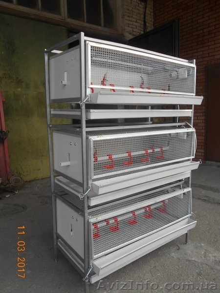 Брудер для выращивания птицы суточного возраста - <ro>Изображение</ro><ru>Изображение</ru> #1, <ru>Объявление</ru> #1545901