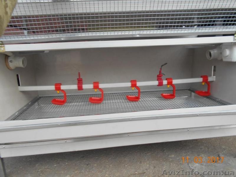 Брудер для выращивания птицы суточного возраста - <ro>Изображение</ro><ru>Изображение</ru> #4, <ru>Объявление</ru> #1545901