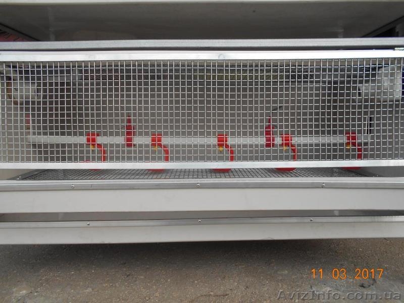 Брудер для выращивания птицы суточного возраста - <ro>Изображение</ro><ru>Изображение</ru> #3, <ru>Объявление</ru> #1545901