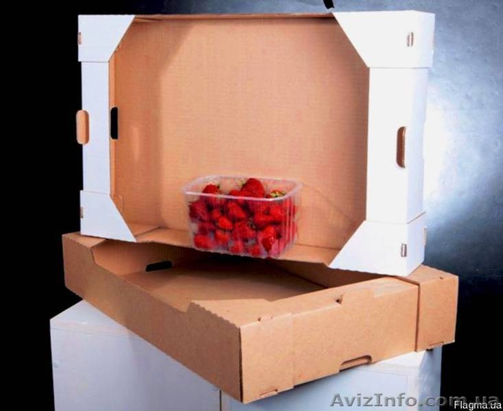 Гофролоток,Евролоток под клубнику,малину,персик,ежевику  - <ro>Изображение</ro><ru>Изображение</ru> #2, <ru>Объявление</ru> #1556036