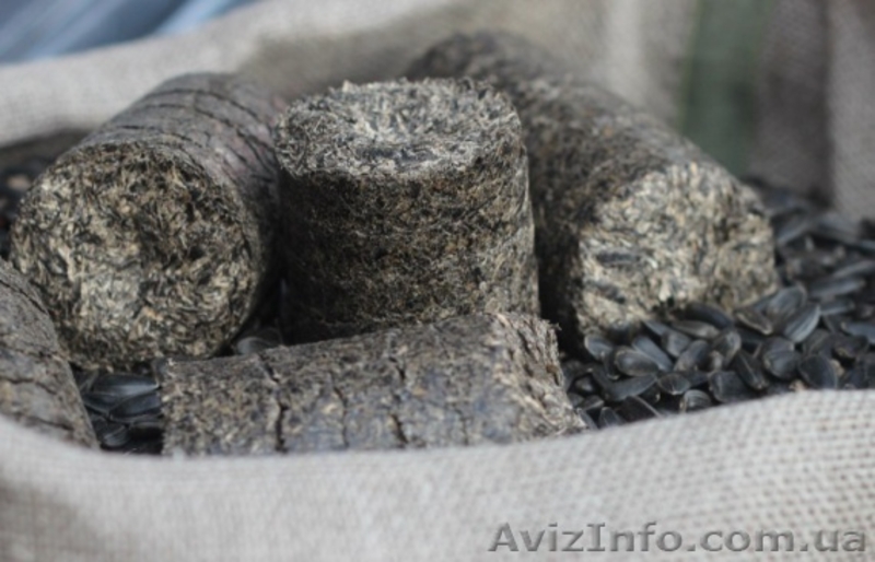 Брикет из семечки, горящий до 8ч. Опт цена 2095/т на люб. Объем - <ro>Изображение</ro><ru>Изображение</ru> #2, <ru>Объявление</ru> #1631911