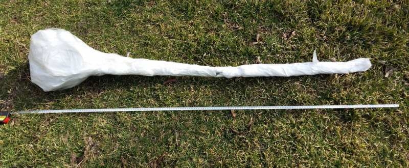 Купить саженцы орехов. Питомник. Опт и розница. - <ro>Изображение</ro><ru>Изображение</ru> #2, <ru>Объявление</ru> #1650967