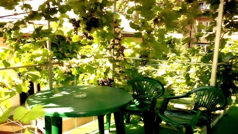 комнаты для отдыхающих - <ro>Изображение</ro><ru>Изображение</ru> #1, <ru>Объявление</ru> #1651926