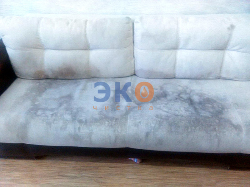 Химчисткa мягкой мебели, ковров, ковролина, матрасов, стульев - <ro>Изображение</ro><ru>Изображение</ru> #1, <ru>Объявление</ru> #1654119