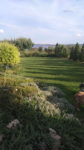 Ищу семью на постоянную работу ! - <ro>Изображение</ro><ru>Изображение</ru> #3, <ru>Объявление</ru> #1660886