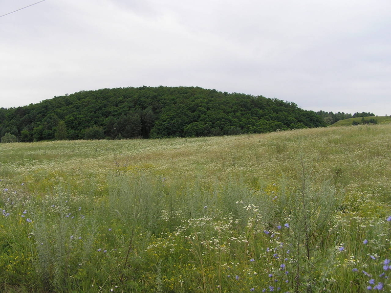 Объект на продажу под Киевом 30 мин. в сторону Обухова, Старые Безрадичи - <ro>Изображение</ro><ru>Изображение</ru> #3, <ru>Объявление</ru> #1684940