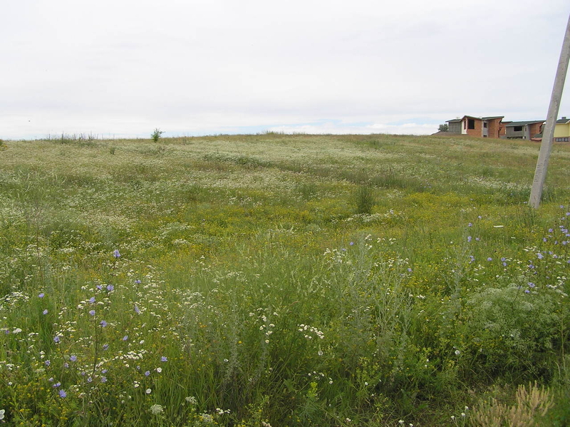 Объект на продажу под Киевом 30 мин. в сторону Обухова, Старые Безрадичи - <ro>Изображение</ro><ru>Изображение</ru> #5, <ru>Объявление</ru> #1684940