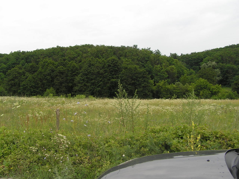 Объект на продажу под Киевом 30 мин. в сторону Обухова, Старые Безрадичи - <ro>Изображение</ro><ru>Изображение</ru> #9, <ru>Объявление</ru> #1684940