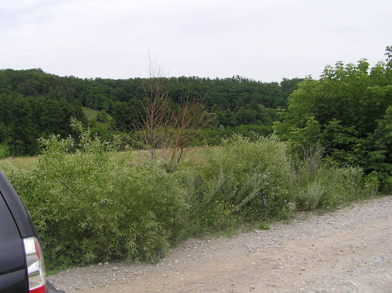 Объект на продажу под Киевом 30 мин. в сторону Обухова, Старые Безрадичи - <ro>Изображение</ro><ru>Изображение</ru> #10, <ru>Объявление</ru> #1684940