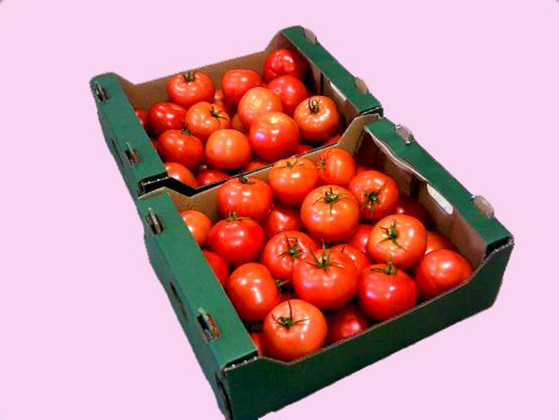 Евроящики под овощи от производителя  - <ro>Изображение</ro><ru>Изображение</ru> #3, <ru>Объявление</ru> #1689327