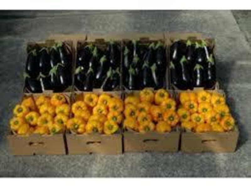 Картонный лоток под овощи по оптовым ценам  - <ro>Изображение</ro><ru>Изображение</ru> #1, <ru>Объявление</ru> #1689329