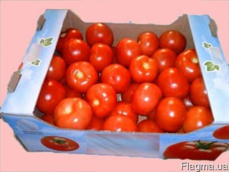 Картонный лоток под овощи по оптовым ценам  - <ro>Изображение</ro><ru>Изображение</ru> #5, <ru>Объявление</ru> #1689329