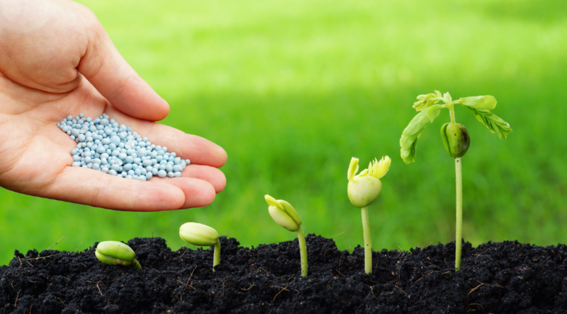 Семена, Агро Химия, СЗР, Удобрения для всех культур - Поле, Сад, Огород - <ro>Изображение</ro><ru>Изображение</ru> #2, <ru>Объявление</ru> #1708285