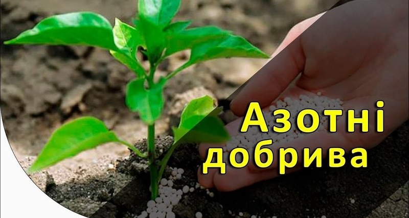 Селитра аммиачная.Минеральное Гранулы Азотное Удобрение Опт Grupa Azoty Польша - <ro>Изображение</ro><ru>Изображение</ru> #4, <ru>Объявление</ru> #1714736