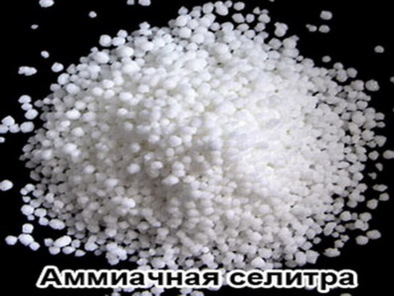 Селитра аммиачная.Минеральное Гранулы Азотное Удобрение Опт Grupa Azoty Польша - <ro>Изображение</ro><ru>Изображение</ru> #2, <ru>Объявление</ru> #1714736