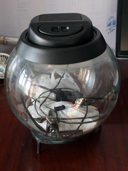 Продается аквариум на 20л - <ro>Изображение</ro><ru>Изображение</ru> #1, <ru>Объявление</ru> #1720475