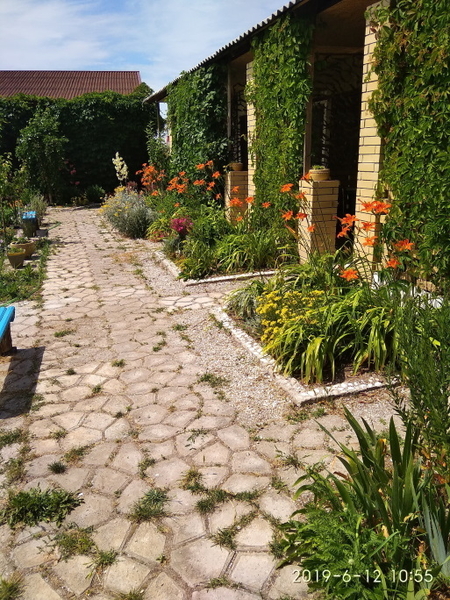 Продам дачу на Азовском море - <ro>Изображение</ro><ru>Изображение</ru> #3, <ru>Объявление</ru> #1720777