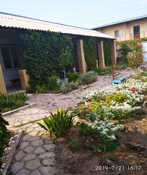 Продам дачу на Азовском море - <ro>Изображение</ro><ru>Изображение</ru> #4, <ru>Объявление</ru> #1720777