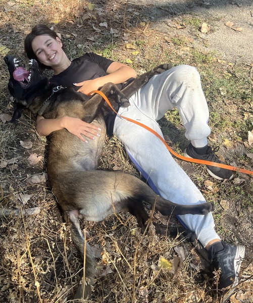 дресирування собак усіх порід  - <ro>Изображение</ro><ru>Изображение</ru> #4, <ru>Объявление</ru> #1670075