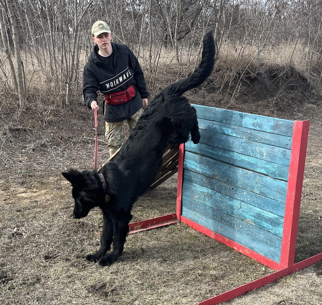 дресирування собак усіх порід  - <ro>Изображение</ro><ru>Изображение</ru> #2, <ru>Объявление</ru> #1670075