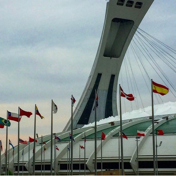 На сегодняшний день самым привлекательным направлением для иммиграции - <ro>Изображение</ro><ru>Изображение</ru> #1, <ru>Объявление</ru> #1071533